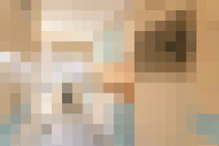 Vliet Noordzijde 67 Rijnsburg thumbnail 10