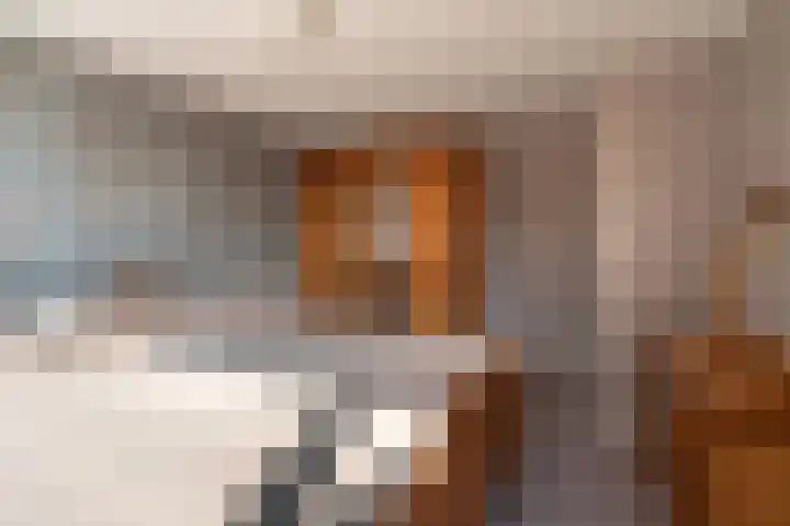 Vliet Noordzijde 67 Rijnsburg thumbnail 20