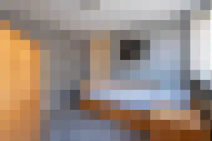 Vliet Noordzijde 67 Rijnsburg thumbnail 22