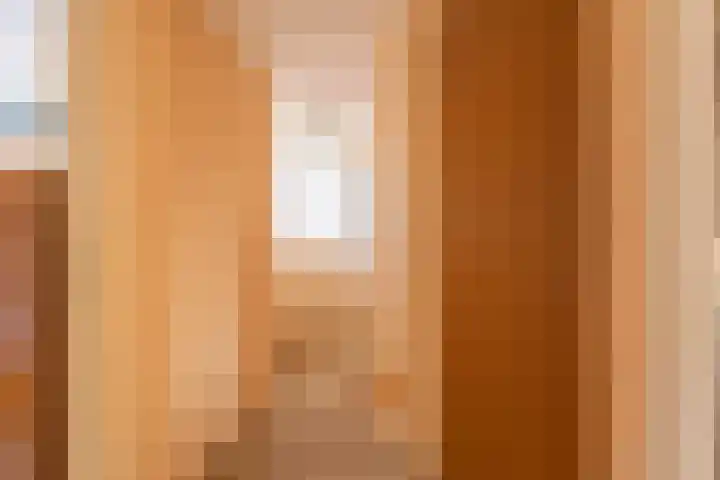 Vliet Noordzijde 67 Rijnsburg thumbnail 25