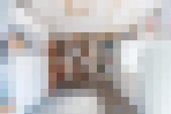Vliet Noordzijde 67 Rijnsburg thumbnail 28