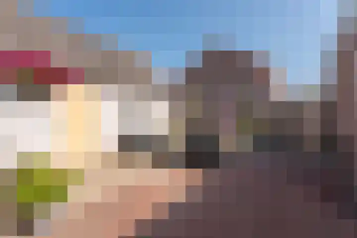 Vliet Noordzijde 67 Rijnsburg thumbnail 30