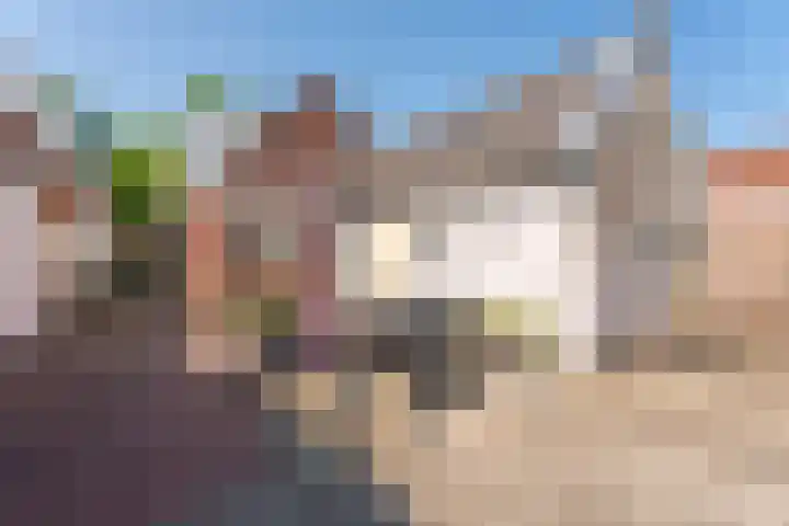 Vliet Noordzijde 67 Rijnsburg thumbnail 31