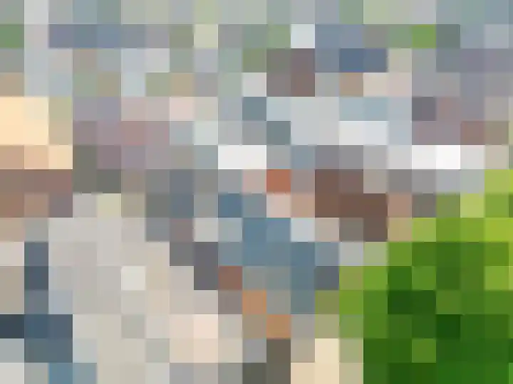 Vliet Noordzijde 67 Rijnsburg thumbnail 36