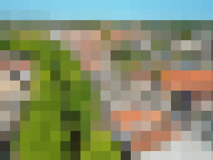 Vliet Noordzijde 67 Rijnsburg thumbnail 37