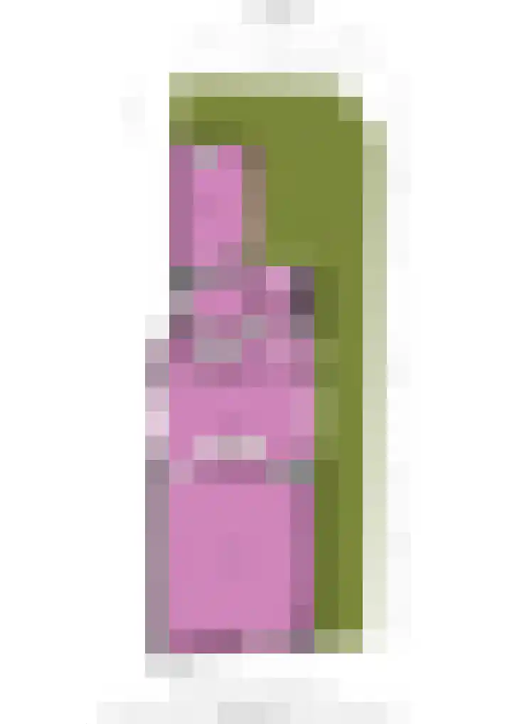 Vliet Noordzijde 67 Rijnsburg thumbnail 43