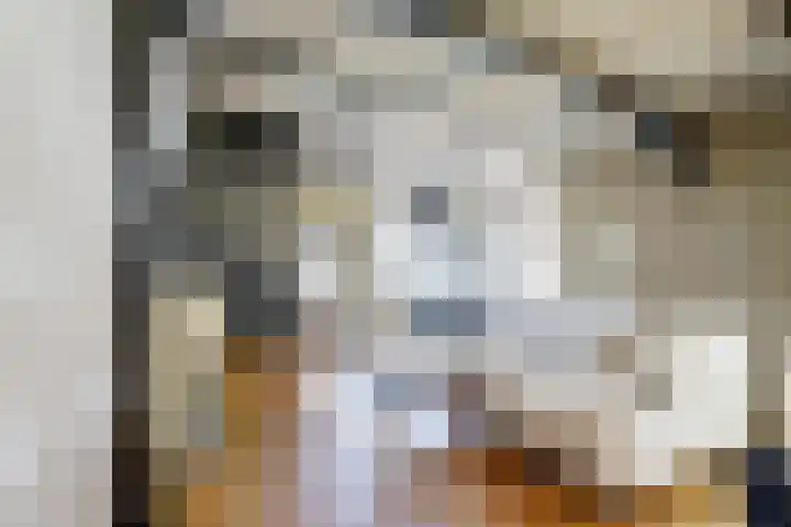 Vliet Noordzijde 69 Rijnsburg thumbnail 12