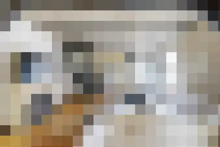 Vliet Noordzijde 69 Rijnsburg thumbnail 13