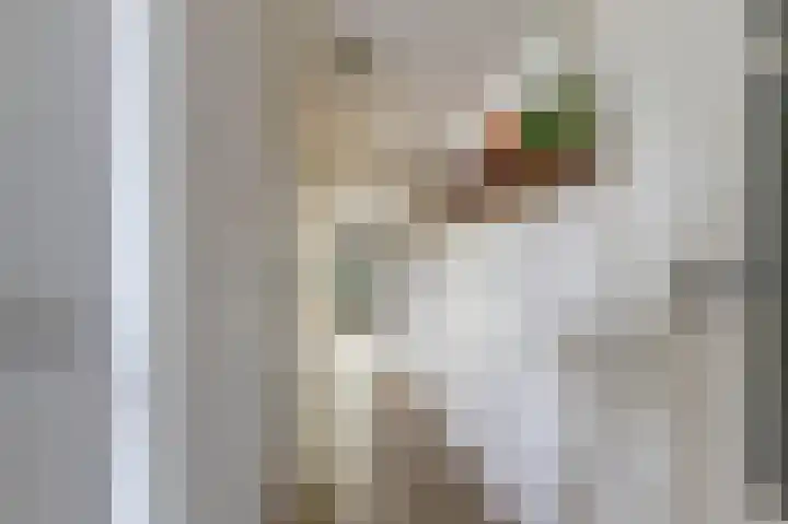 Vliet Noordzijde 69 Rijnsburg thumbnail 19