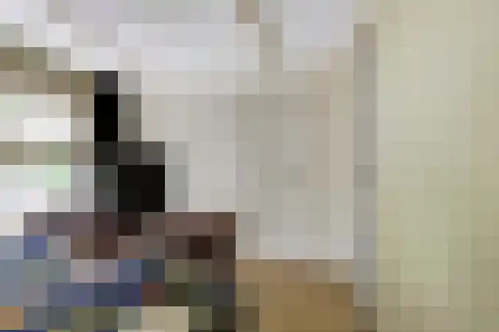 Vliet Noordzijde 69 Rijnsburg thumbnail 21