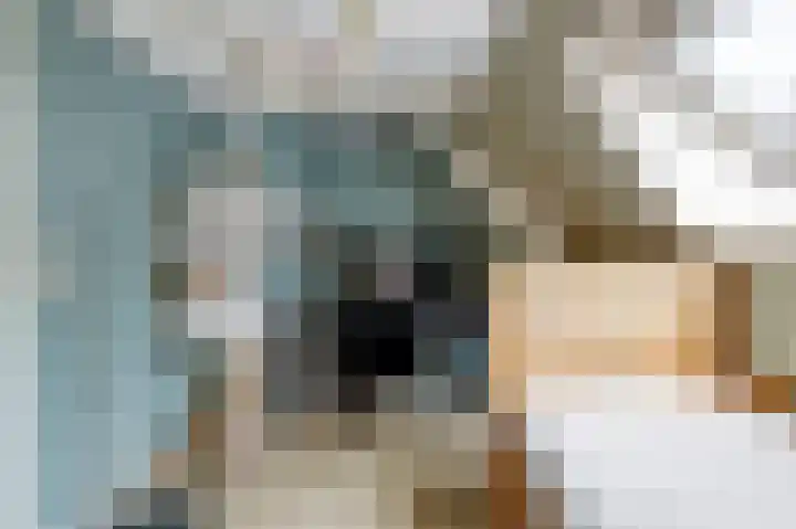 Vliet Noordzijde 69 Rijnsburg thumbnail 22