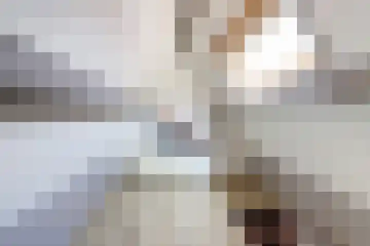 Vliet Noordzijde 69 Rijnsburg thumbnail 29