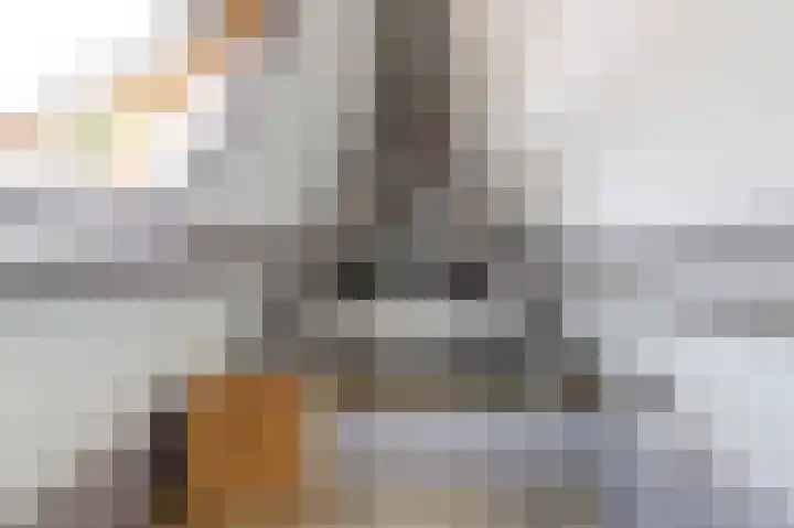 Vliet Noordzijde 69 Rijnsburg thumbnail 30