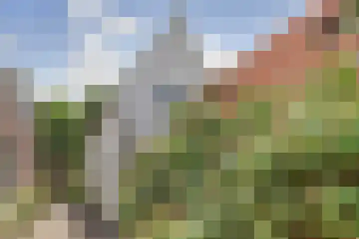 Vliet Noordzijde 69 Rijnsburg thumbnail 34