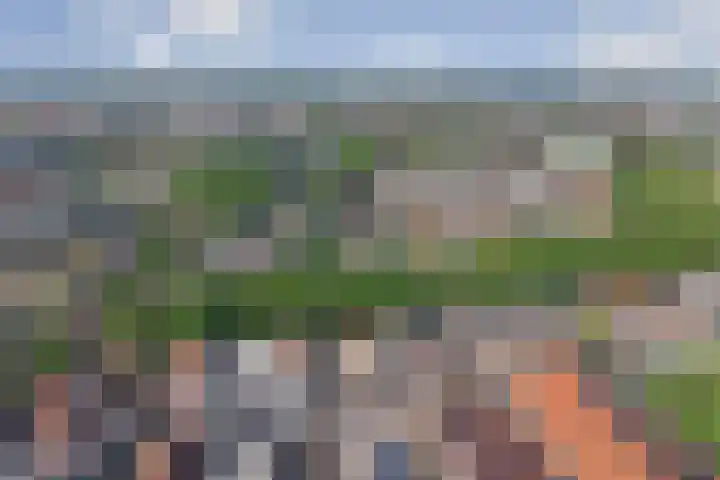 Vliet Noordzijde 69 Rijnsburg thumbnail 35