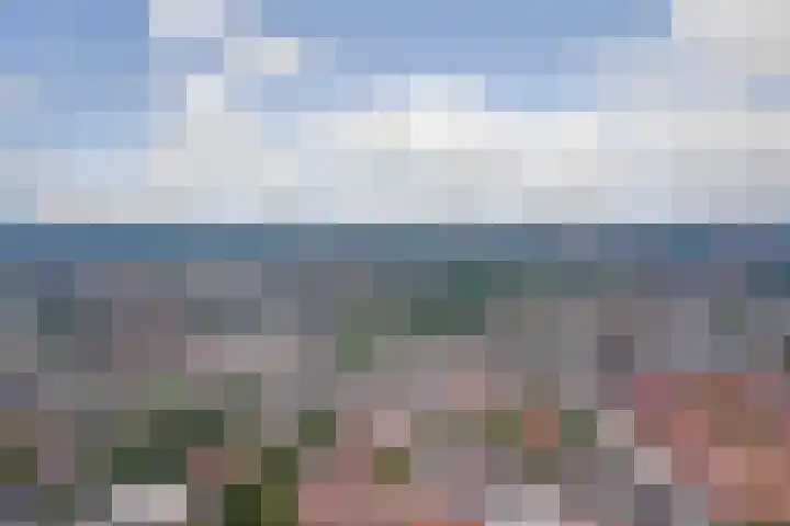 Vliet Noordzijde 69 Rijnsburg thumbnail 36