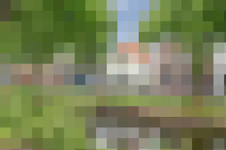 Vliet Noordzijde 69 Rijnsburg thumbnail 9