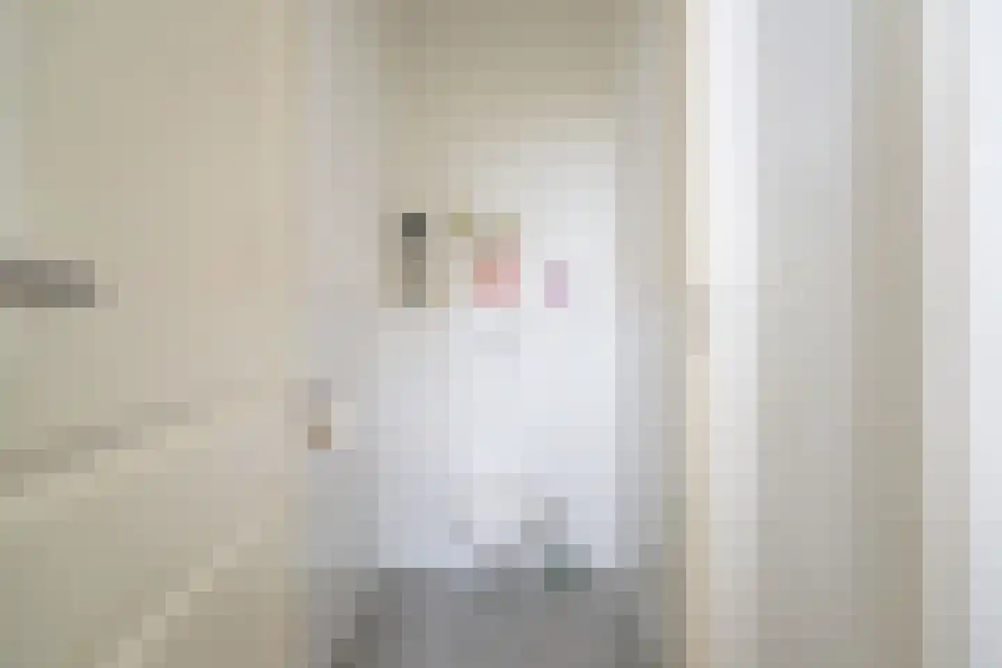 Vliet Noordzijde 93 Rijnsburg thumbnail 10