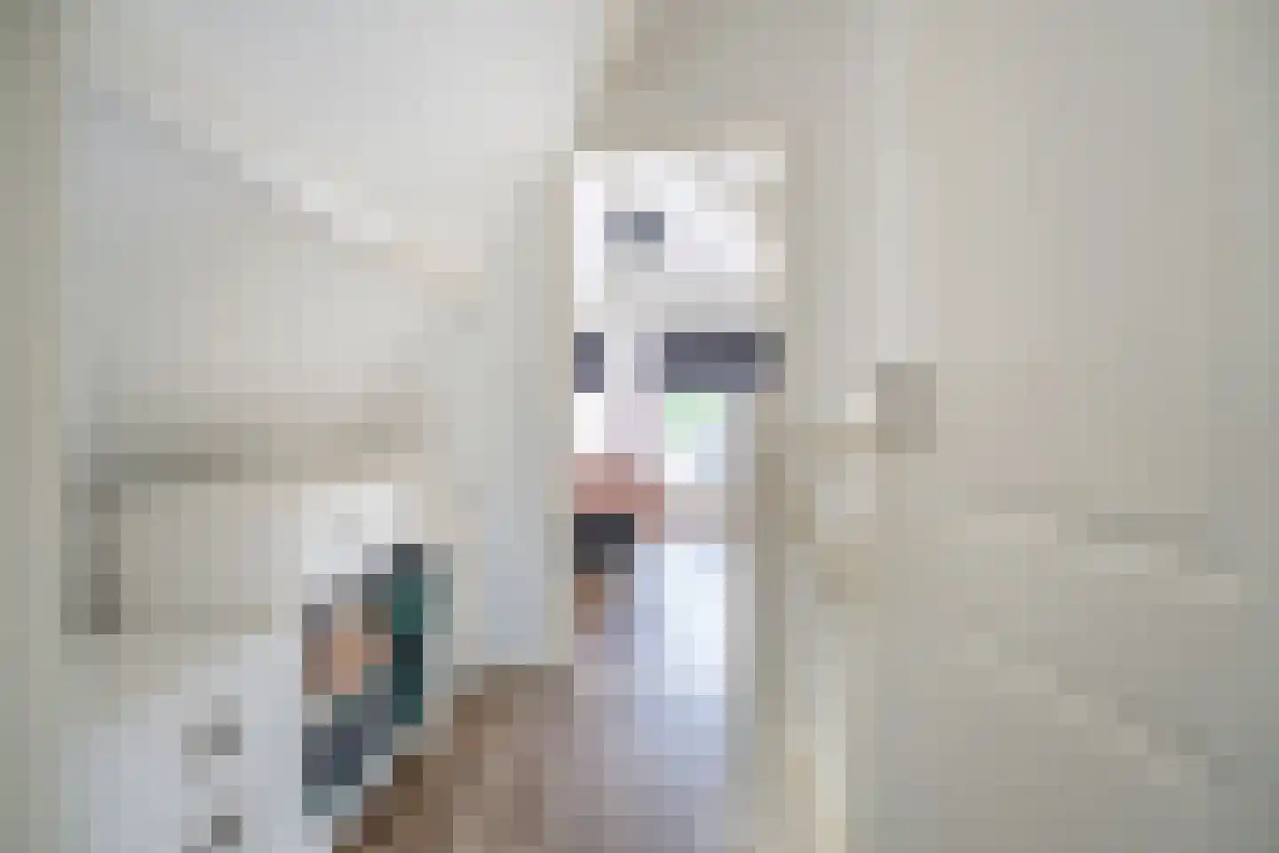 Vliet Noordzijde 93 Rijnsburg thumbnail 11