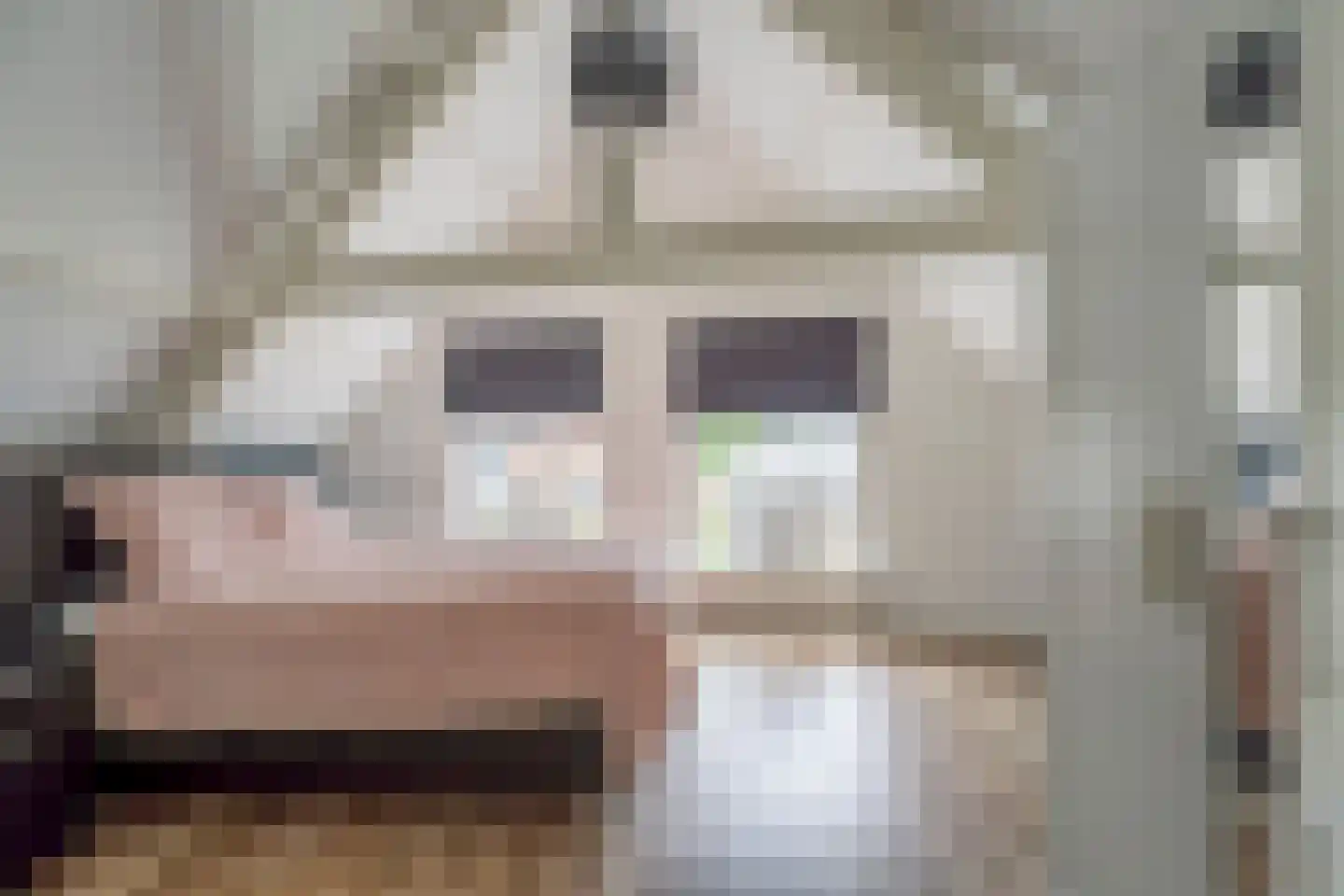 Vliet Noordzijde 93 Rijnsburg thumbnail 12