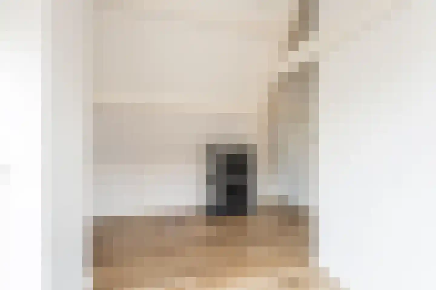 Vliet Noordzijde 93 Rijnsburg thumbnail 16