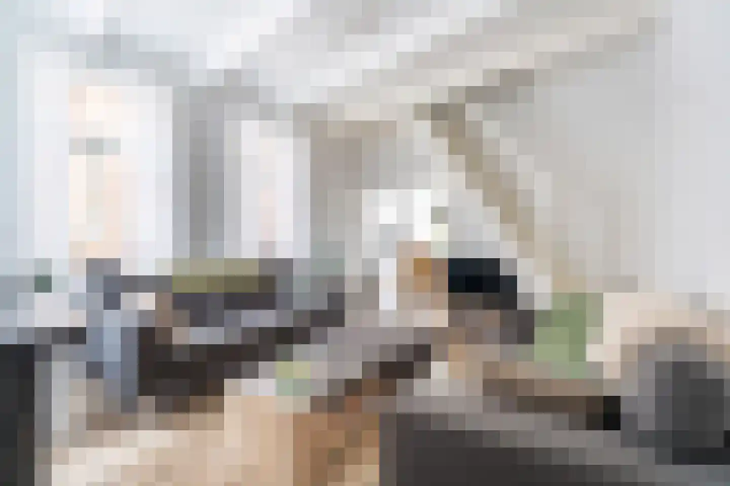 Vliet Noordzijde 93 Rijnsburg thumbnail 4