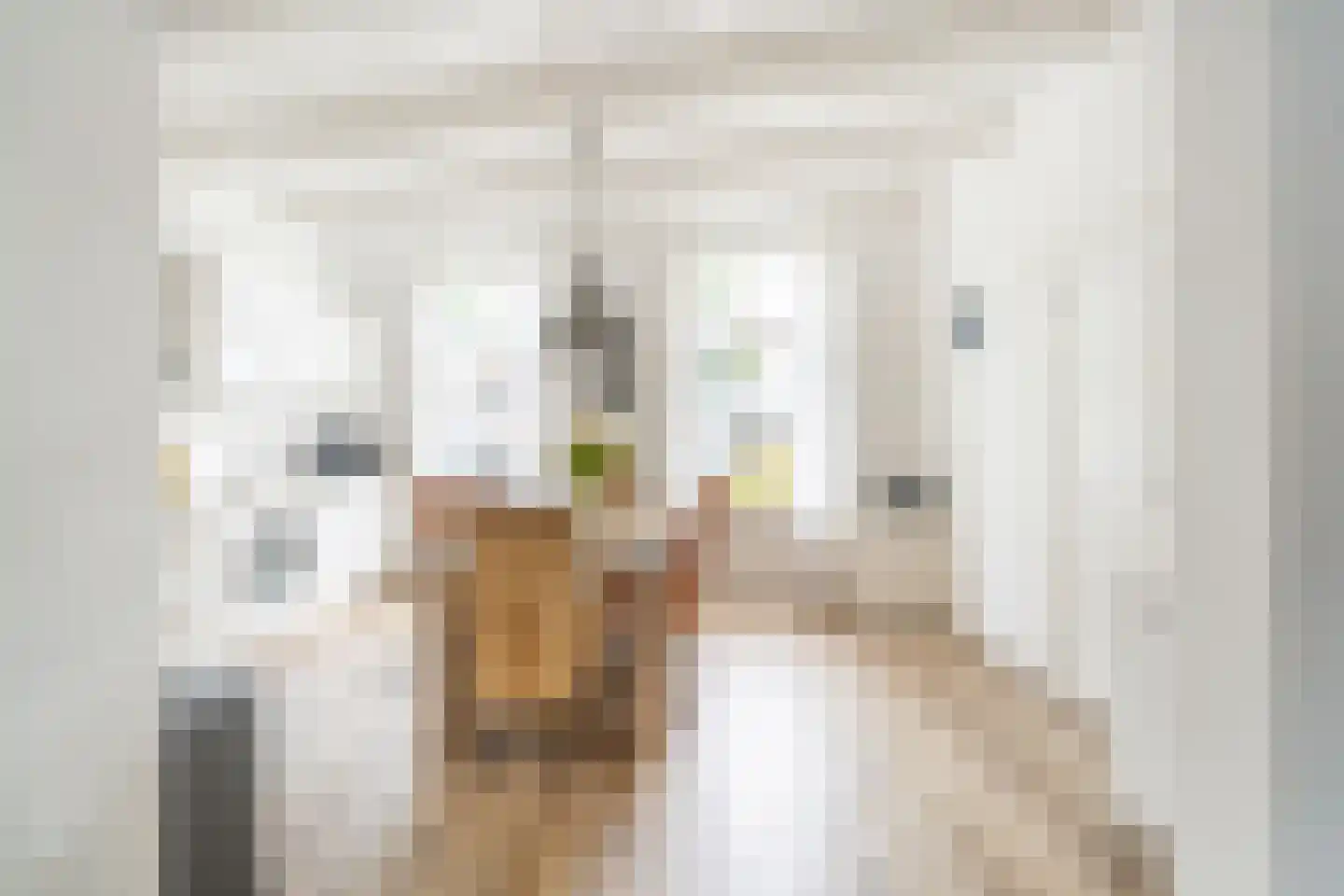 Vliet Noordzijde 93 Rijnsburg thumbnail 5