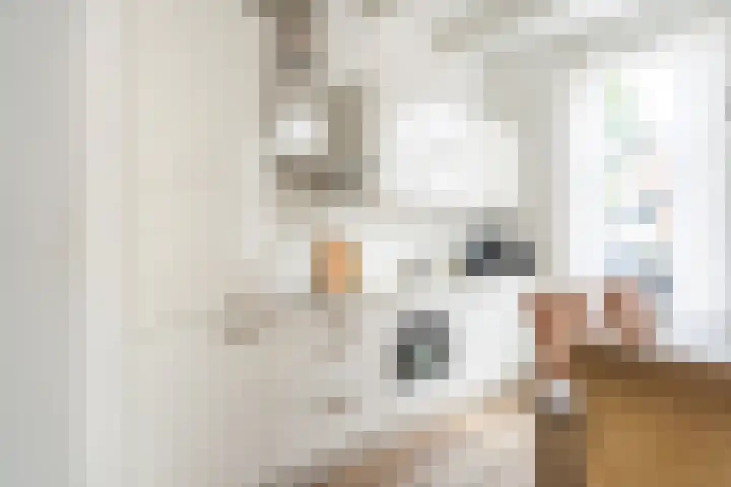 Vliet Noordzijde 93 Rijnsburg thumbnail 7