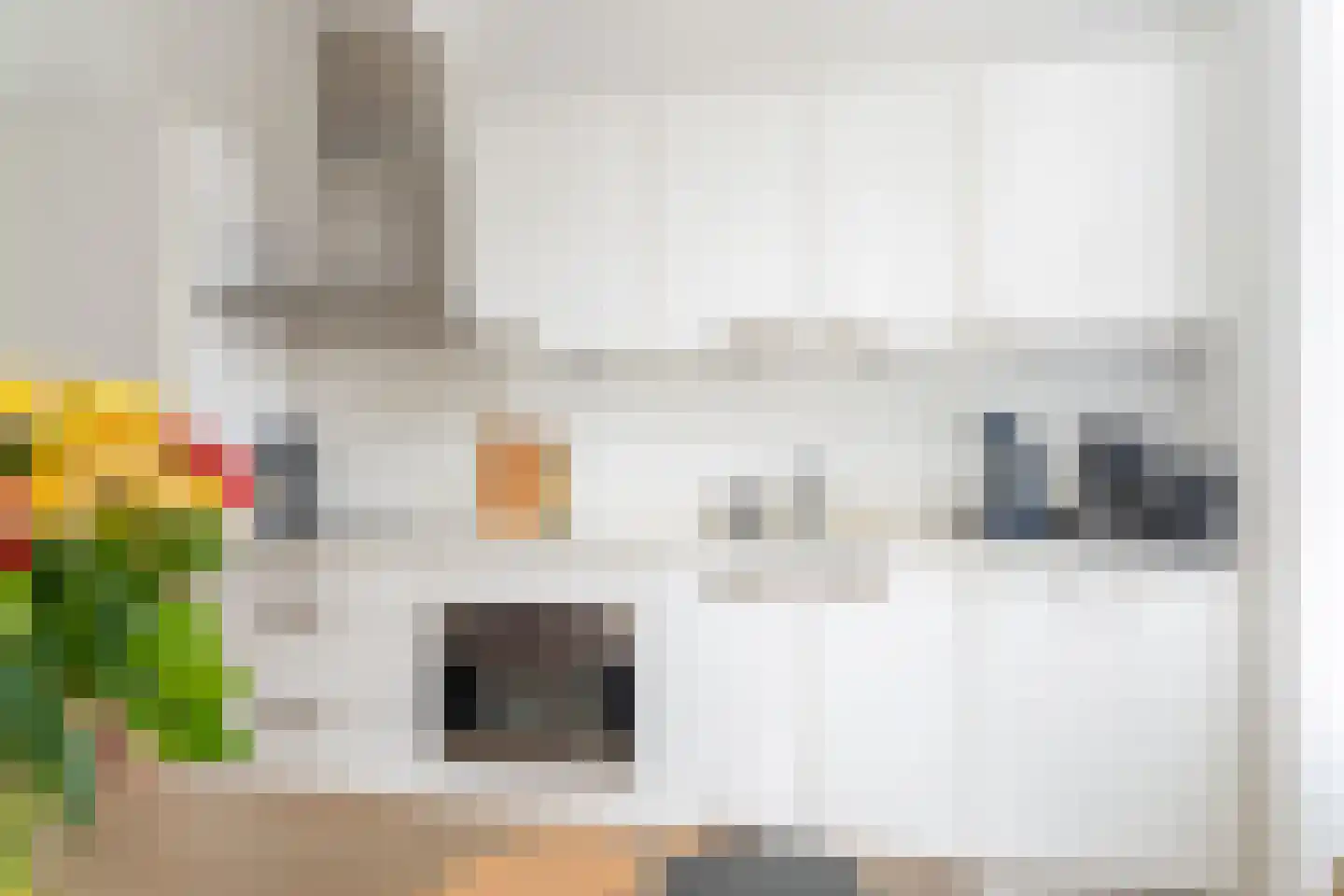 Vliet Noordzijde 93 Rijnsburg thumbnail 8