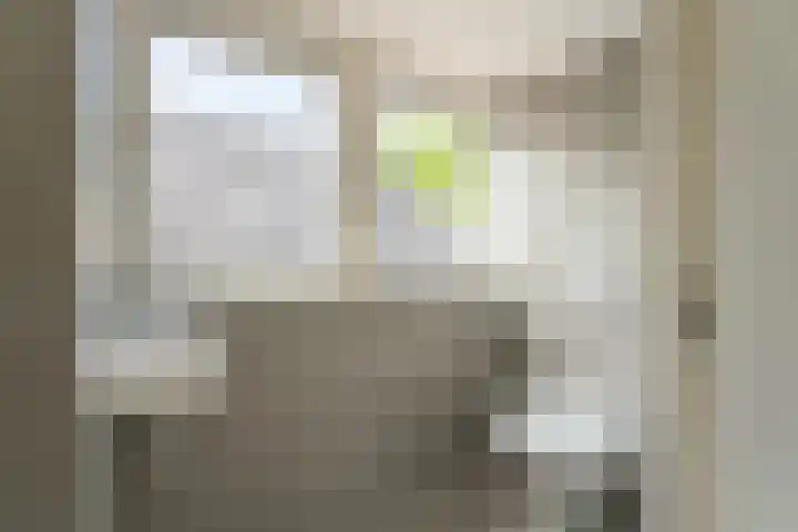 Vliet Zuidzijde 15 A Rijnsburg thumbnail 12