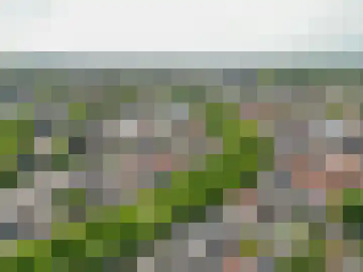 Vliet Zuidzijde 15 A Rijnsburg thumbnail 17