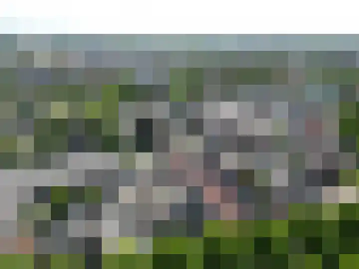 Vliet Zuidzijde 15 A Rijnsburg thumbnail 18