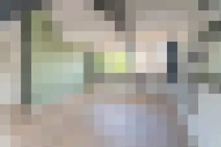 Vliet Zuidzijde 15 A Rijnsburg thumbnail 6