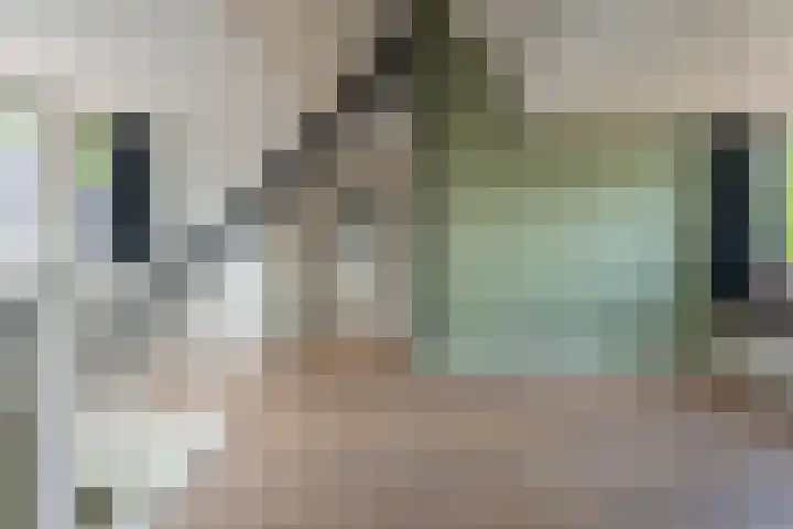 Vliet Zuidzijde 15 A Rijnsburg thumbnail 7