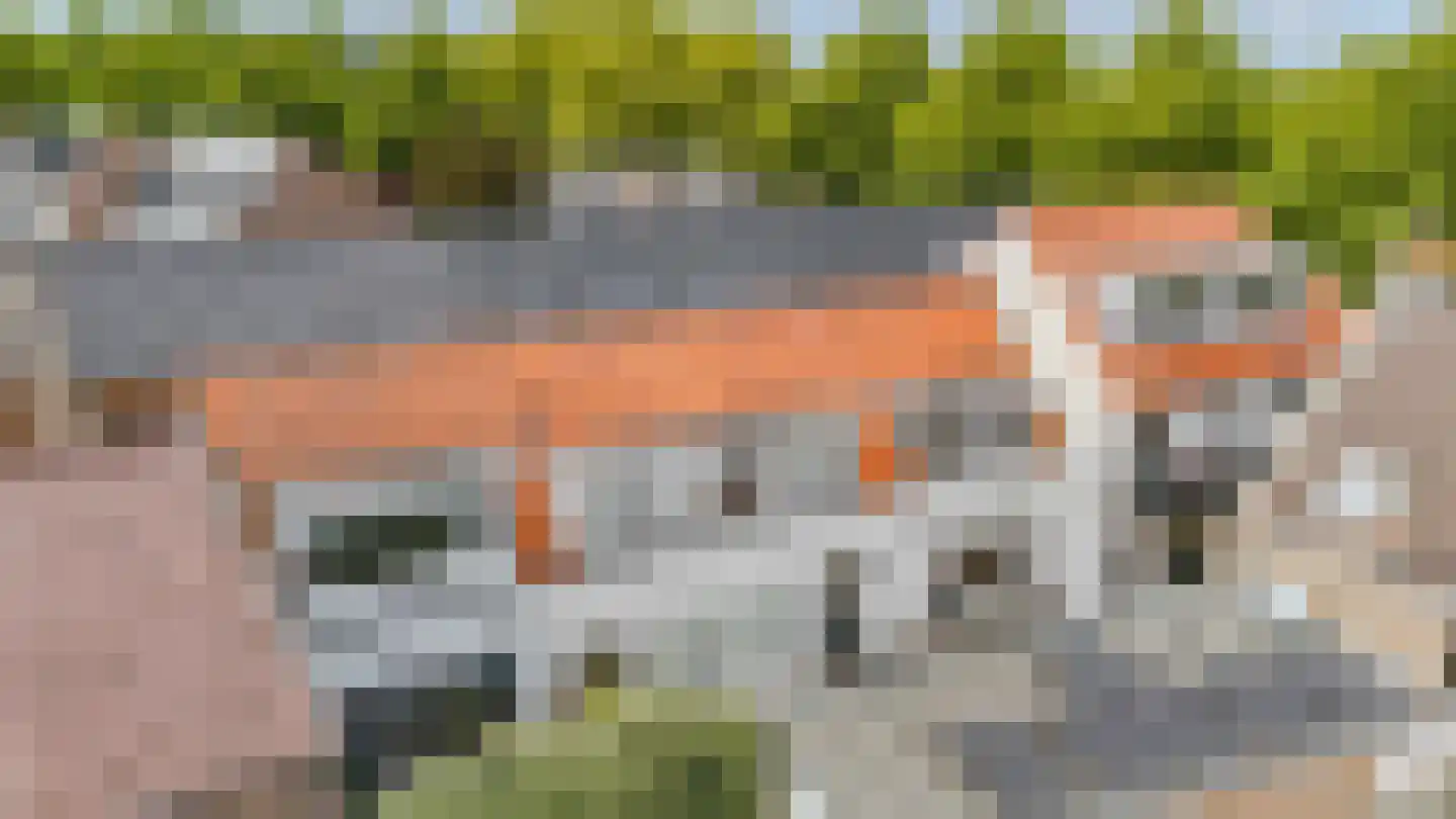 Vliet Zuidzijde 15 C Rijnsburg thumbnail 31