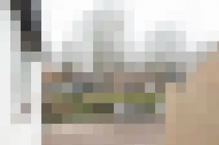 Vliet Zuidzijde 15 Rijnsburg thumbnail 14