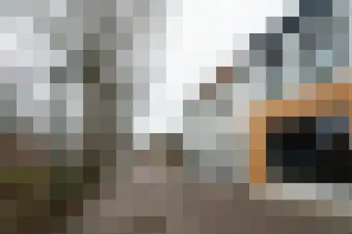 Vliet Zuidzijde 15 Rijnsburg thumbnail 20