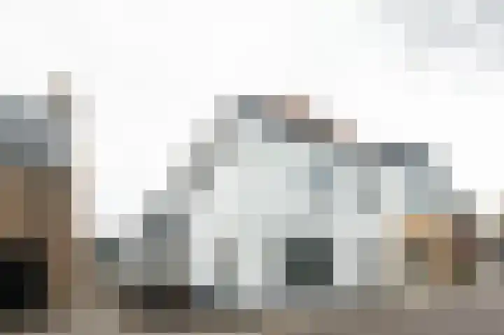 Vliet Zuidzijde 15 Rijnsburg thumbnail 21