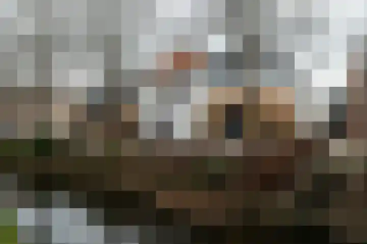 Vliet Zuidzijde 15 Rijnsburg thumbnail 23