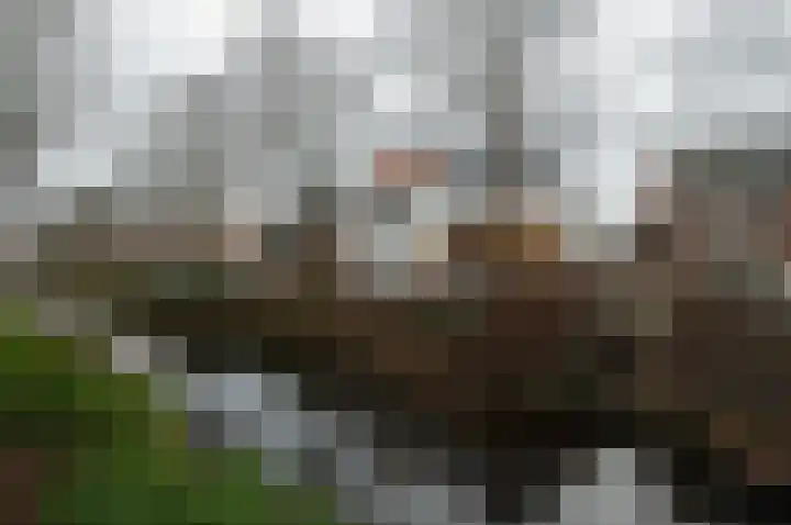Vliet Zuidzijde 15 Rijnsburg thumbnail 24