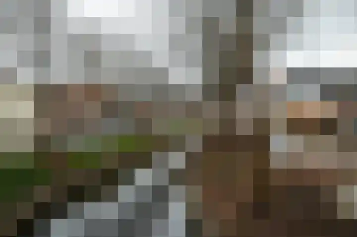 Vliet Zuidzijde 15 Rijnsburg thumbnail 25