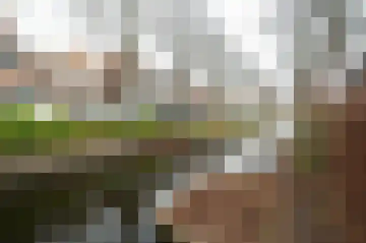 Vliet Zuidzijde 15 Rijnsburg thumbnail 26