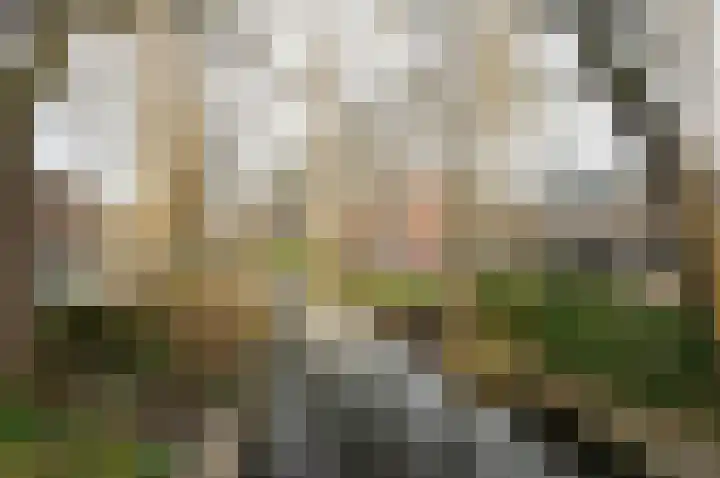 Vliet Zuidzijde 15 Rijnsburg thumbnail 27
