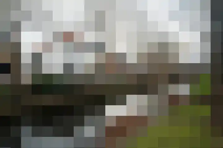 Vliet Zuidzijde 15 Rijnsburg thumbnail 28