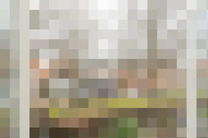 Vliet Zuidzijde 15 Rijnsburg thumbnail 6
