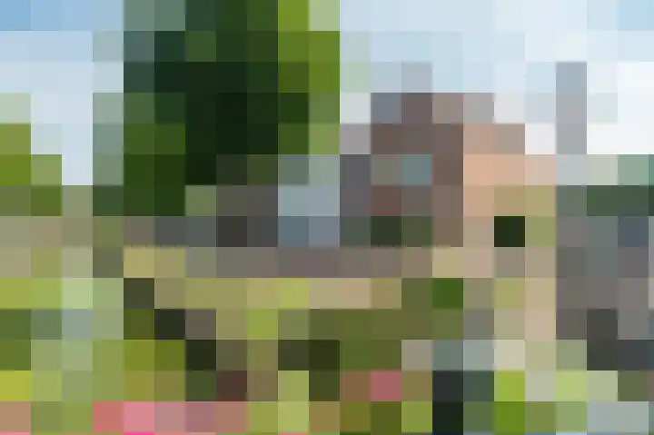 Vliet Zuidzijde 30 Rijnsburg thumbnail 21