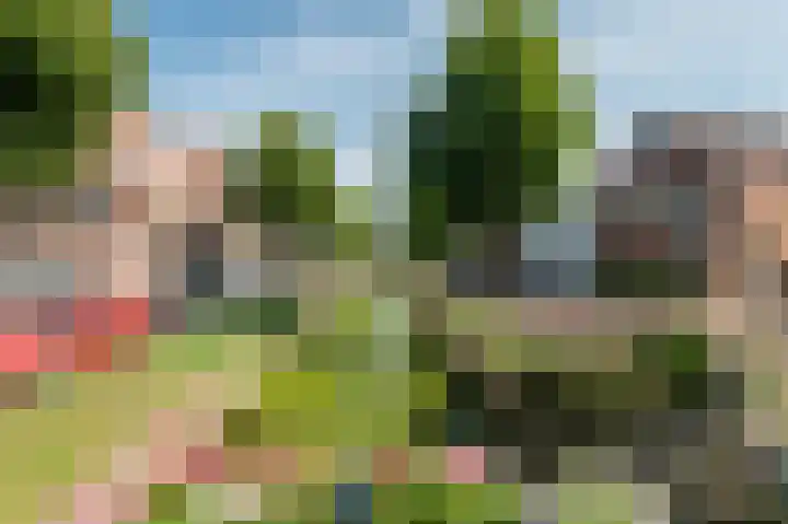 Vliet Zuidzijde 30 Rijnsburg thumbnail 22