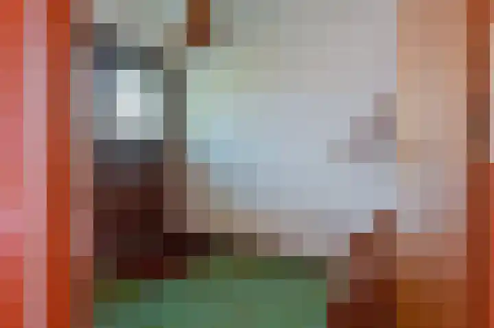 Vliet Zuidzijde 30 Rijnsburg thumbnail 7