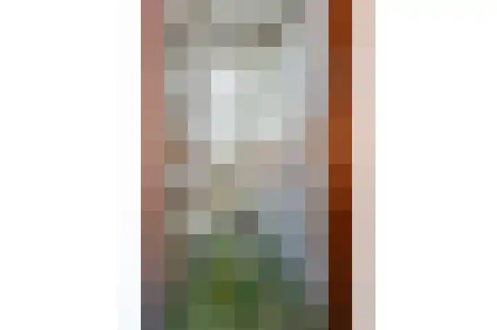 Vliet Zuidzijde 30 Rijnsburg thumbnail 8