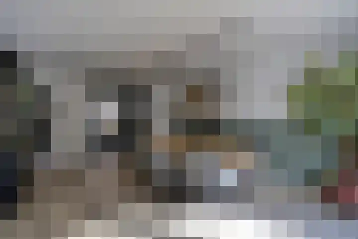 Vliet Zuidzijde 34 Rijnsburg thumbnail 12